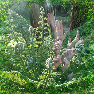 Wonderfeel_Intra_Art_sm (1)