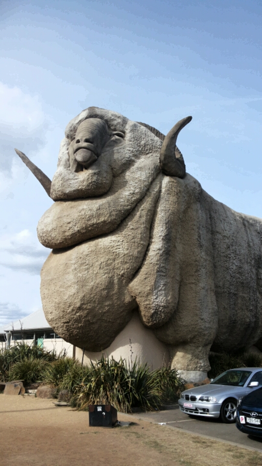 Giant Sheep