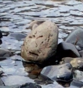 stone angry man